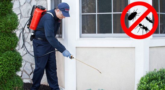 Yıldızeli Fare İlaçlama böcek ilaçlama ve haşere kontrolü — ilaclama-tr.com